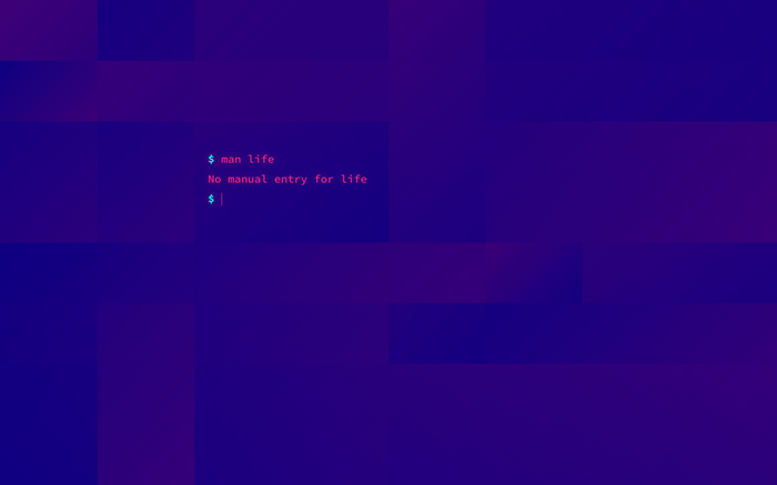 Terminal command 'man life' with humorous output