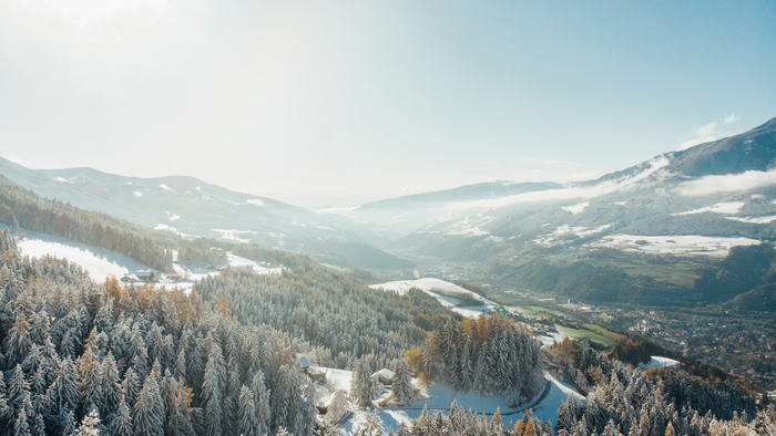 Snow-covered forest and valley in the Alps