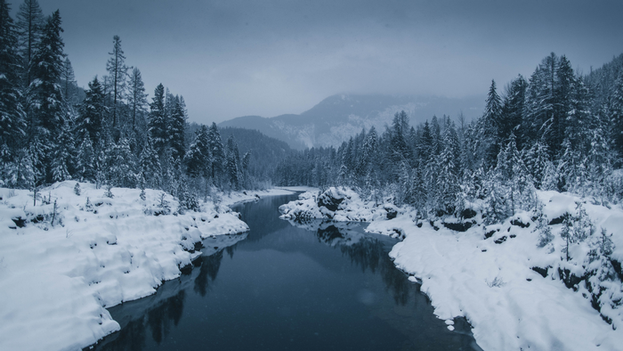Snowy River Winding Through a Winter Forest in Montana