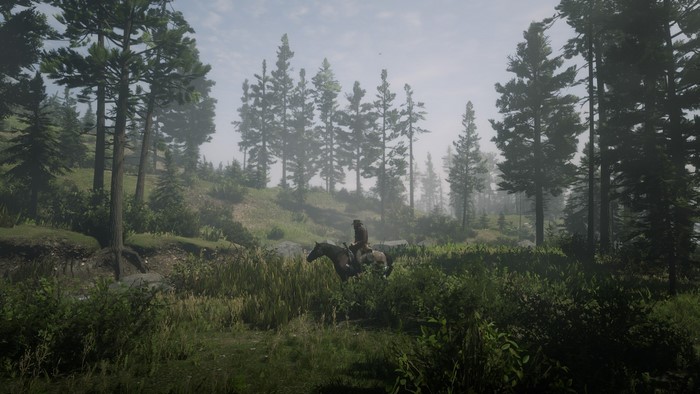 Man on horse in Red Dead Redemption 2 forest