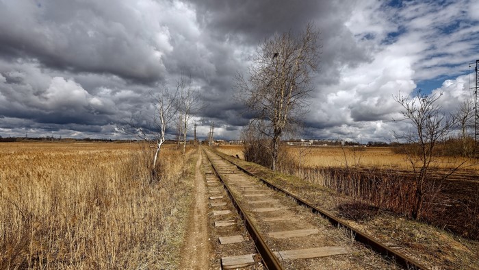 Abandoned railroad tracks through a dry field under a cloudy sky