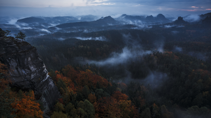 Misty mountains and forest during autumn dawn