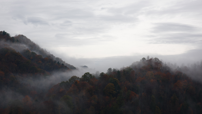 Misty forest landscape in North Carolina during fall