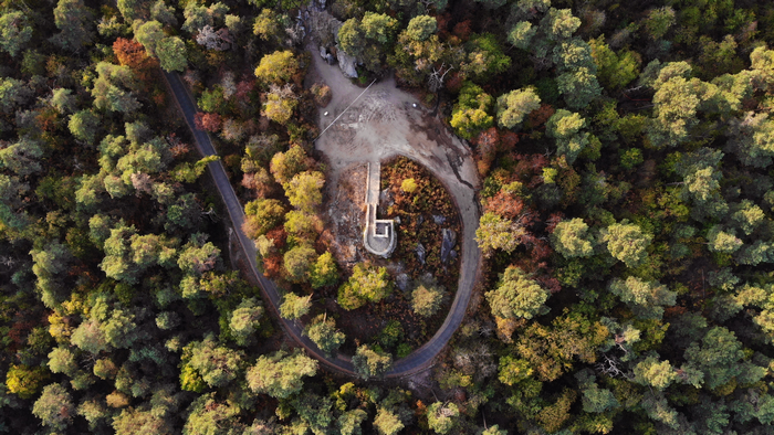 Aerial view of a forest with a road and a monument