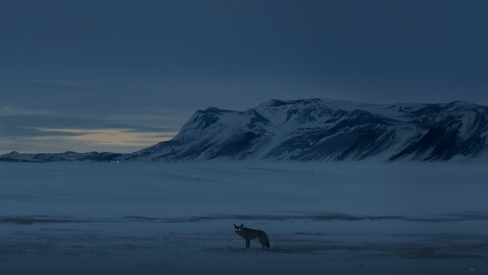 Fox in snowy mountains at dusk