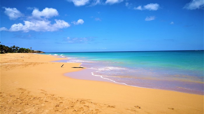 Golden sand beach with turquoise ocean and blue sky