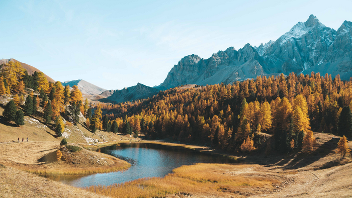 Autumn forest and lake in the French Alps