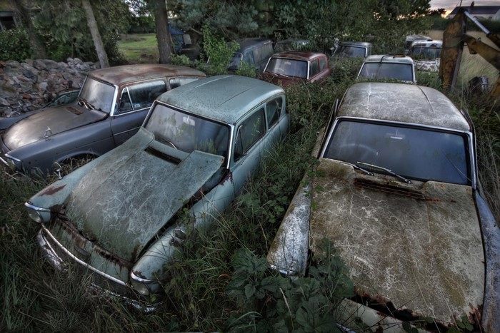Abandoned cars in a grassy field