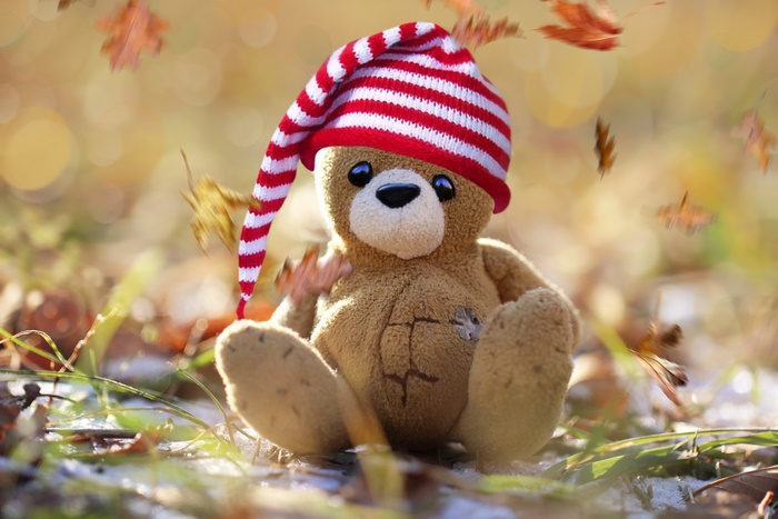Teddy bear wearing a striped hat in autumn leaves