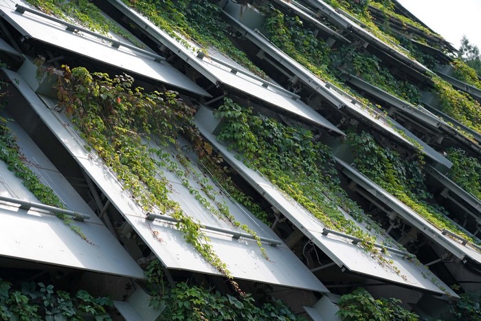 Modern architecture with green vines
