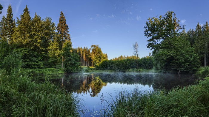 4K nature lake with forest and mist