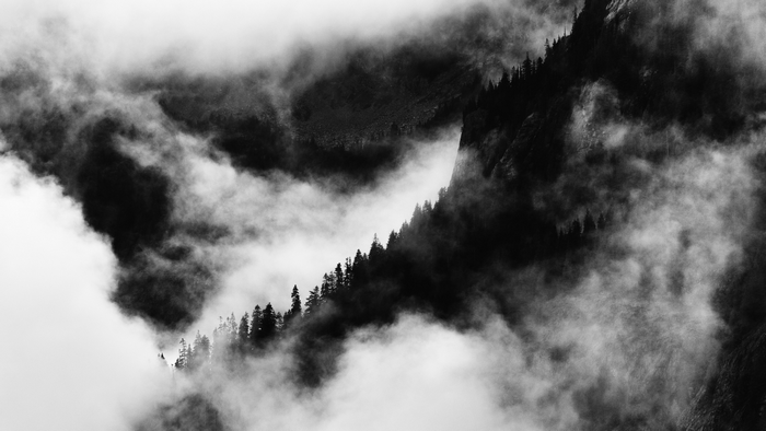 Monochrome mountains shrouded in mist with pine trees