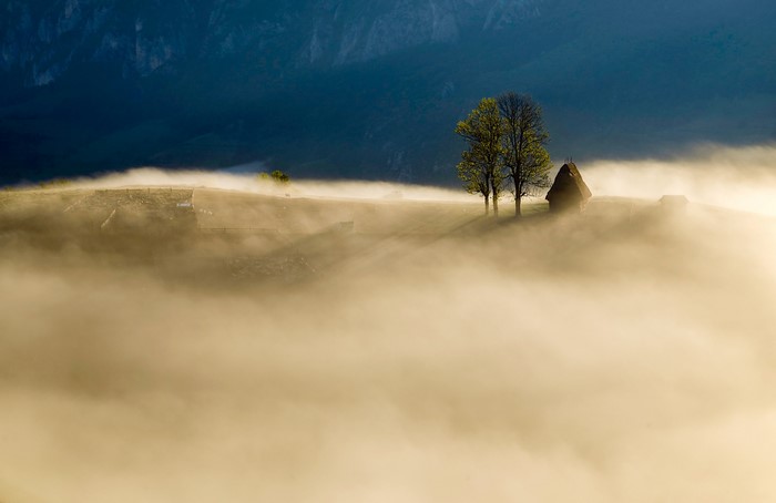 Misty mountain landscape with trees and a small hut