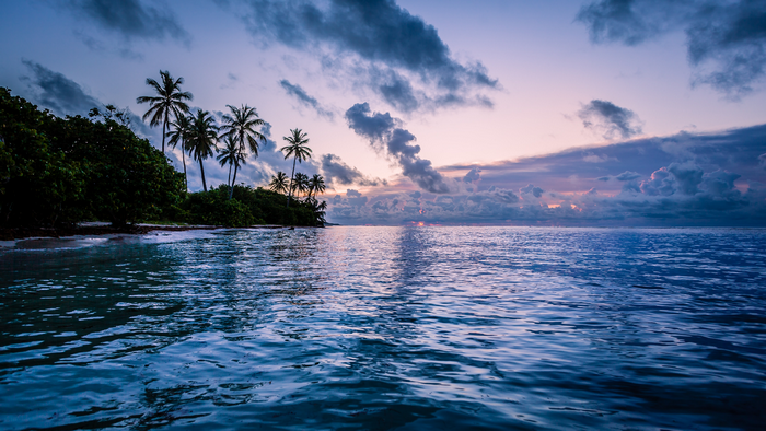 Tropical beach at sunset with palm trees and ocean