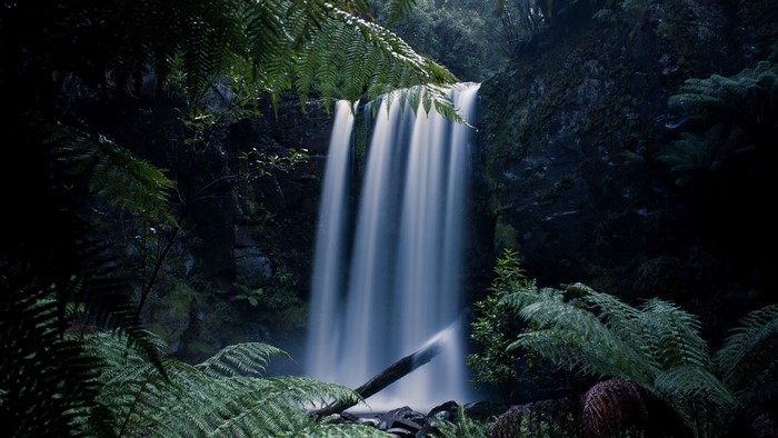 Waterfall in a rainforest with ferns and a fallen log