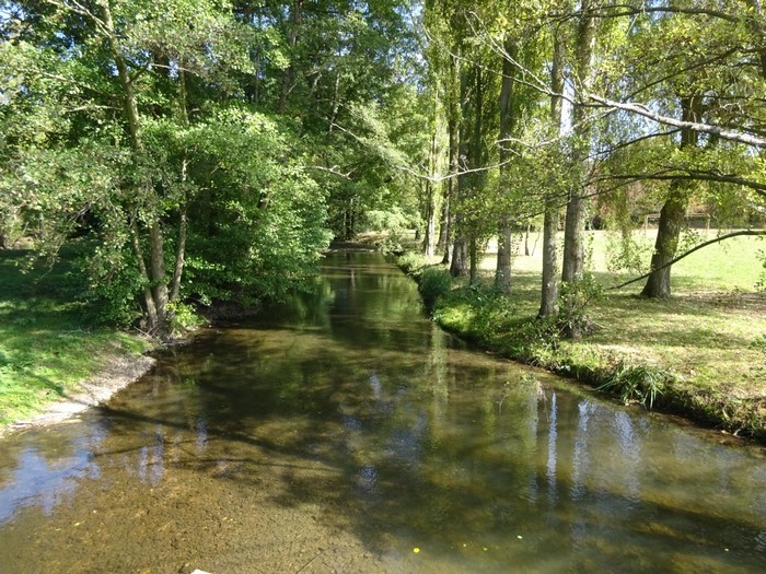 River flowing through a forest in Normandie, France