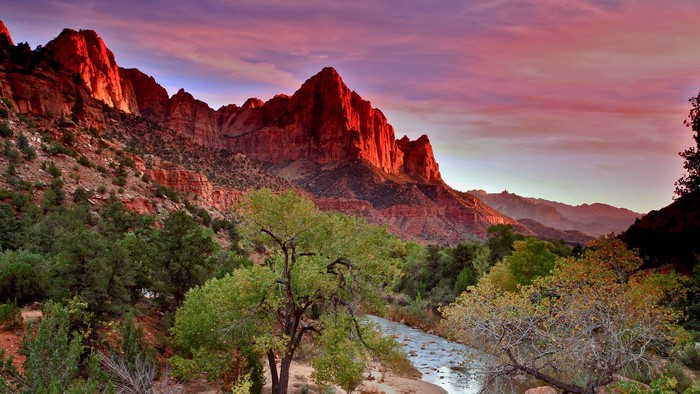 Zion National Park landscape with red mountains and river