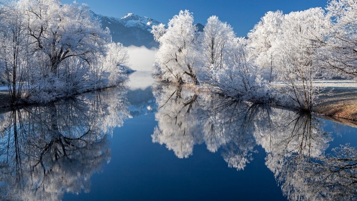 Frost-covered trees reflecting in a calm river with mountains in the background