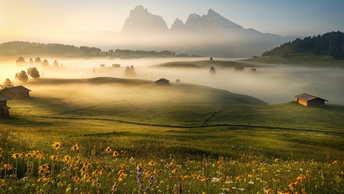 Misty mountain landscape with cabins and wildflowers