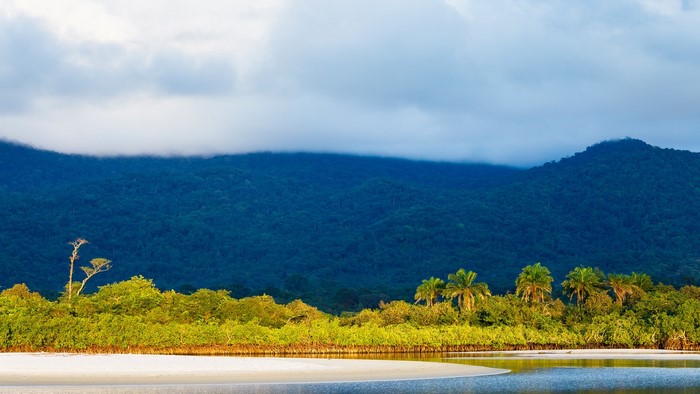 Mountain forest landscape with river and sandbank