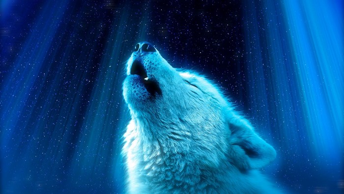 Blue wolf howling under starry night sky