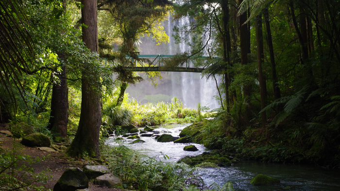Waterfall and bridge in a lush forest with a river