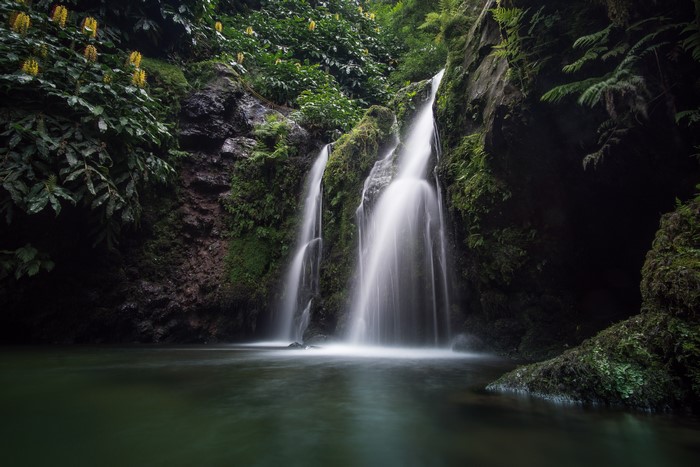Waterfall in a mossy forest with yellow flowers