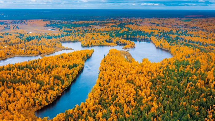 Aerial view of autumn forest and lakes in Russia