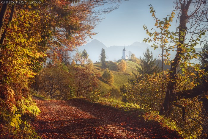 Autumn path leading to a church on a hill in Slovenia
