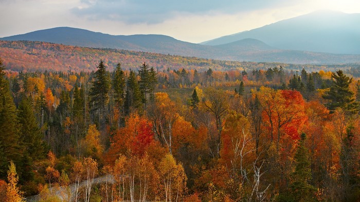 Autumn forest landscape with mountains in New Hampshire, USA