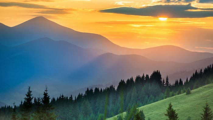 Misty mountains at sunset with a forest in the foreground