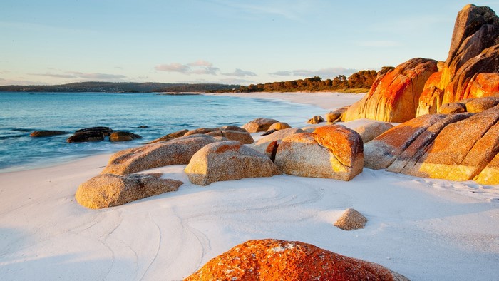 Orange lichen-covered rocks on a sandy beach in Tasmania at sunset