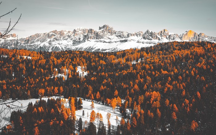 4K snowy mountain range above autumn forest