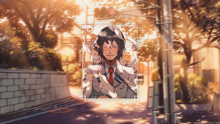 Shota Aizawa from Boku no Hero Academia with cockatiels