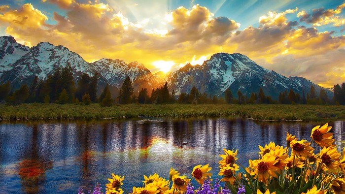 Sunset Over Grand Teton Mountains with Sunflowers