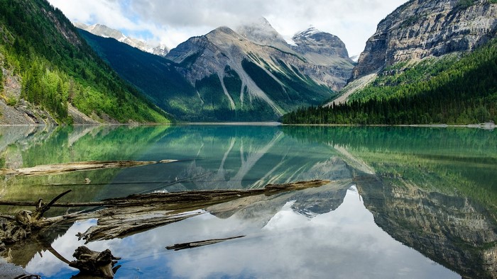 Mount Robson reflection in a lake with dead trees