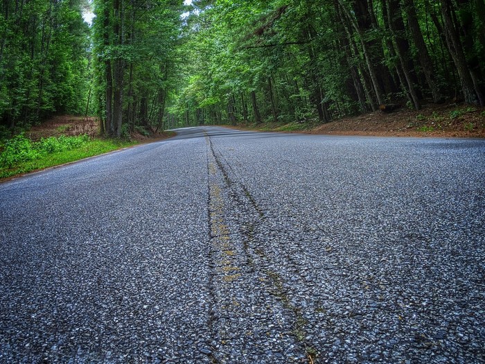 Asphalt road through a green forest