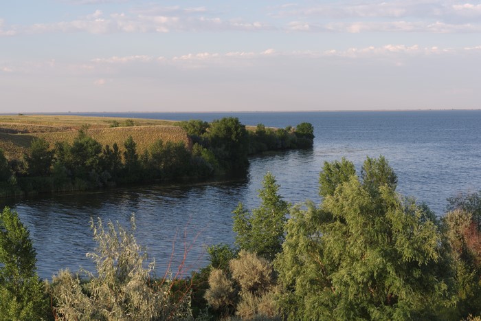 Clear sky over a bay with trees and fields