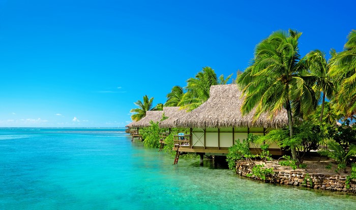 Overwater bungalows on a tropical island with palm trees