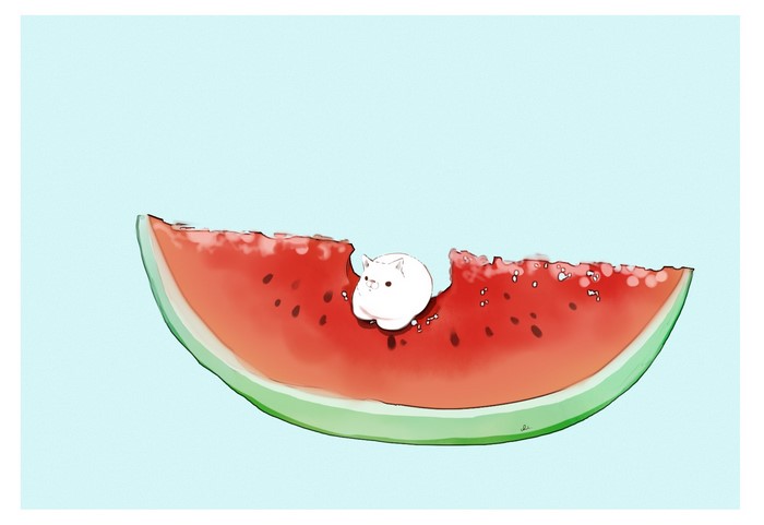 A small white cat sits on a slice of watermelon
