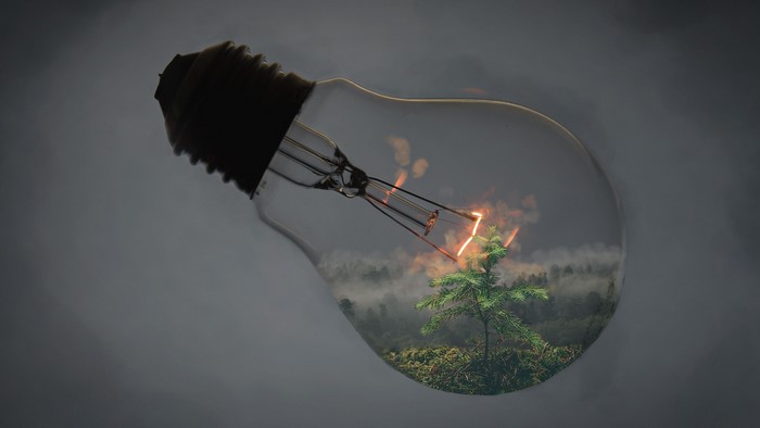 Light bulb with forest and tree inside