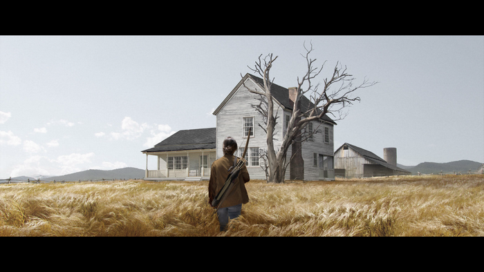 Ellie from The Last of Us in a field near a house
