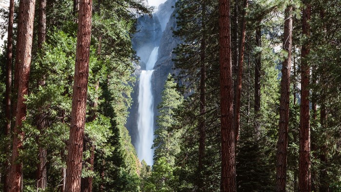 Yosemite Falls through a forest in Yosemite National Park, California