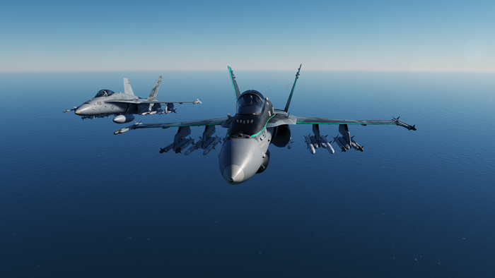 Two McDonnell Douglas F/A-18 Hornets flying over the sea