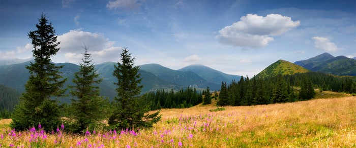 4K Mountain Landscape with Trees and Flowers
