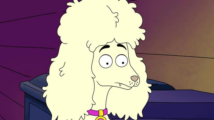 A poodle with a fluffy hairstyle and a pink collar