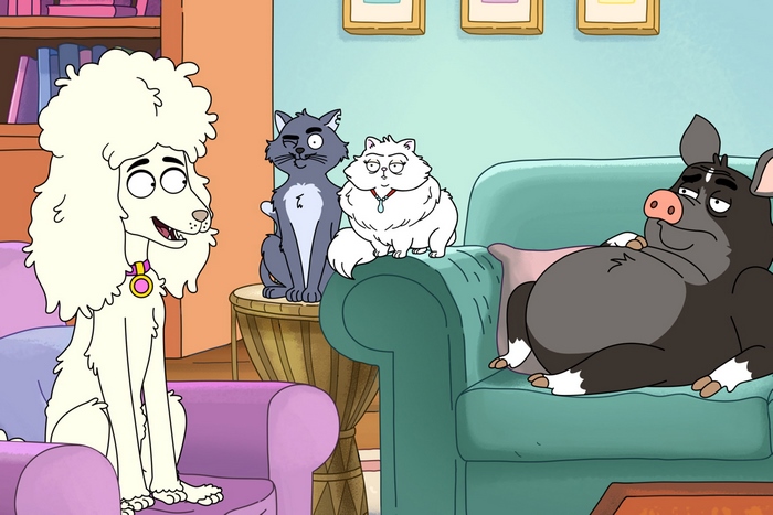 Housebroken: A poodle, two cats, and a pig in a living room