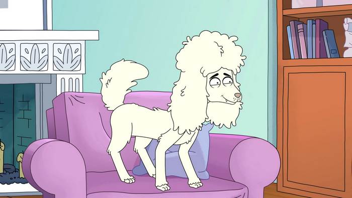 A white poodle sits on a purple couch