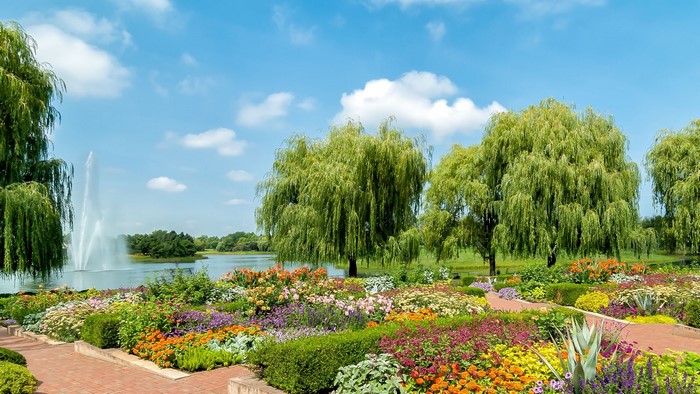 Botanical garden with weeping willows, lake, and fountain