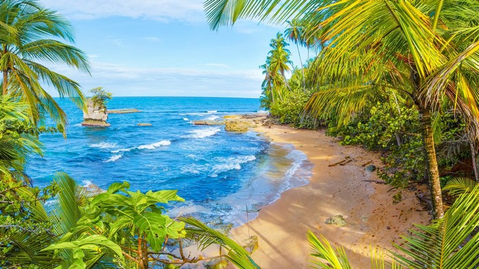 Tropical beach with palm trees and ocean waves